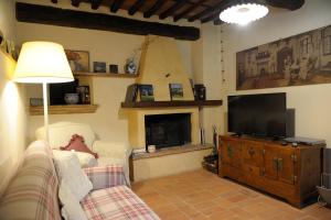 sala de estar con TV y chimenea en Dimora delle Camelie, en SantʼAndrea di Compito