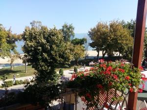 Gallery image of Apartment Plaisir in Pogradec