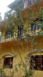 a yellow building with windows and a tree at Aguiar Guest House in Colva