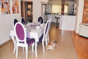 un perro tirado en el suelo alrededor de una mesa de comedor en Jardines de Las Marinas - Royal Suite, en Denia