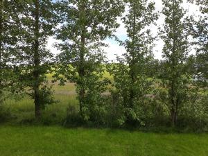 Naturlandskabet i nærheden af bed and breakfast-stedet