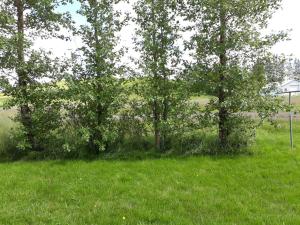 En have udenfor Skyggnir Bed and Breakfast