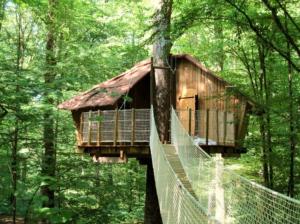 une cabane dans les arbres au milieu d'une forêt dans l'établissement Les cabanes du lac du Der, à Giffaumont