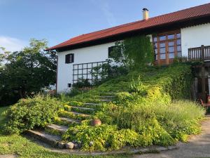 a house with a garden with stairs leading up to it at Country House Zunko in Jelovec