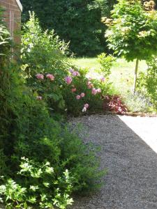 un jardin avec des fleurs roses et un trottoir dans l'établissement Campen Cottage, à Krummhörn