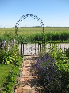 un jardin avec une porte et un chemin en briques avec des fleurs violettes dans l'établissement Campen Cottage, à Krummhörn