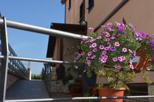 une corbeille de fleurs suspendue sur un balcon dans l'établissement I Narcisi, à Roccaraso