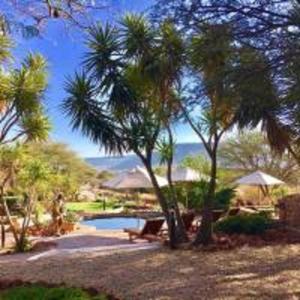 un resort con piscina e alcune palme di Waterberg Guest Farm a Altopiano del Waterberg