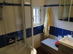 a bathroom with a shower, sink, and tub at La Héraudière Bed & Breakfast in Tours