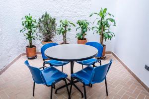 a table and chairs in a room with potted plants at Hotel Suite del Parque in Medellín