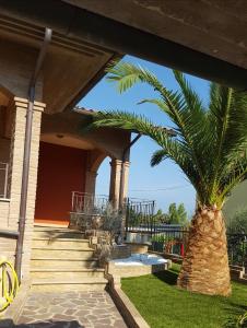 uma palmeira sentada ao lado de uma casa em Tulipano Appartamenti em Marotta