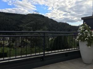Nespecifikovaný výhled na hory nebo výhled na hory při pohledu z apartmánu + 1 fotografie