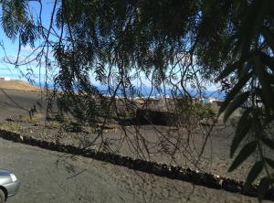 a tree hanging over a road with a beach in the background at Patio I in La Asomada