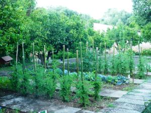 Zahrada ubytování Agroturismo Son Siurana