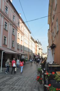リヴィウにあるApartments in Lviv centerのギャラリーの写真