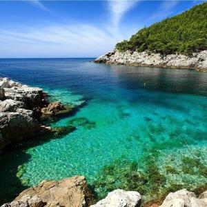 a large body of water with rocks and blue water at Holiday apartments Maslina Paho in Babino Polje
