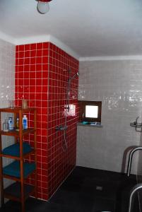 uma casa de banho em azulejos vermelhos com um chuveiro e uma parede vermelha em Quinta Vale Porcacho na Tábua