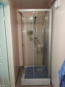 a shower with a glass door in a bathroom at Lin's B&B in Älvsered