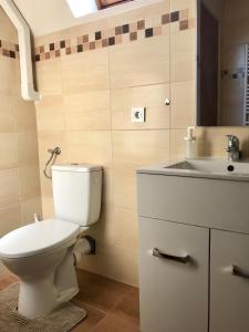 a bathroom with a toilet and a sink at Rudolf Apartment in Budapest