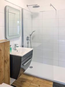 y baño con lavabo y ducha. en LITZI Apartment en Baden-Baden