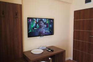 TV a/nebo společenská místnost v ubytování Casa Camelia Felix