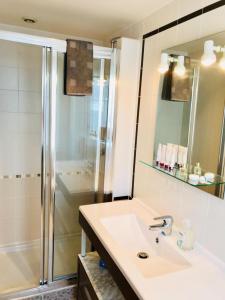 y baño con lavabo y ducha. en Villa Florian, en Neuilly-Plaisance
