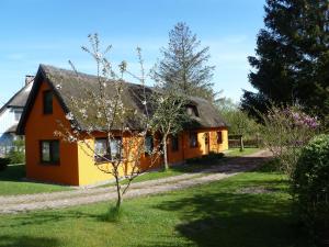 ヴィークにあるFerienwohnungen Strandweg 6の庭木のある黄橙家