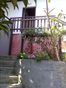 アギオス・イオアニス・ペリオンにあるPelion Oramaの花の咲く階段
