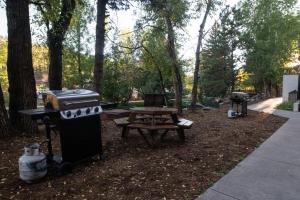 una parrilla y una mesa de picnic en un parque en Silver Moon Inn en Estes Park