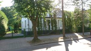 Ogród w obiekcie Pokoje dom Gustaw Augustów