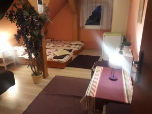 Postel nebo postele na pokoji v ubytování Agroturystyka