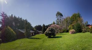 einen großen Garten mit grünem Gras und Bäumen in der Unterkunft Cabañas Peumayen in Puerto Varas