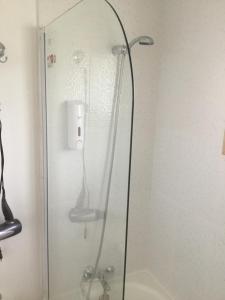 a shower in a bathroom with a glass door at Cabañas 4 Volcanes Frutillar in Frutillar