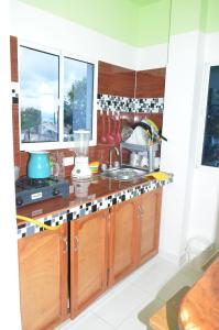 Apartamento Tolu في تولو: مطبخ مع حوض و كونتر توب