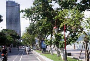 Ảnh trong thư viện ảnh của KaKa Hotel Han River ở Đà Nẵng