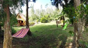 a hammock in a yard next to a cabin at Chalet des plaines in La Plaine des Palmistes