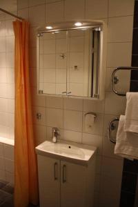 een badkamer met een wastafel, een spiegel en een douche bij Alléhotellet in Finspång
