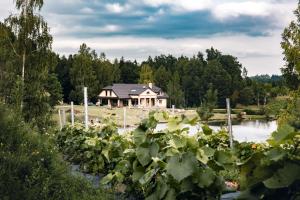 SemeliškėsPrūsiškių dvaras的湖中植物之家
