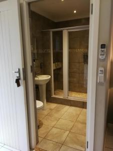 a bathroom with a shower and a toilet and a sink at The Fever Tree Guest House in Hluhluwe