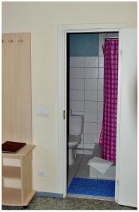 a bathroom with a toilet and a pink shower curtain at Palangos Dailė in Palanga