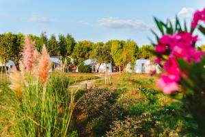 a garden with pink flowers and houses in the background at Torre Cintola Greenblu Sea Emotions in Monopoli