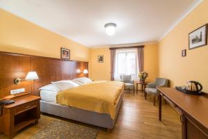 a hotel room with a bed and a desk at Hotel Cerny Slon in Prague