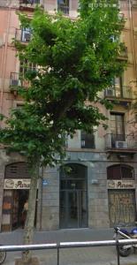 バルセロナにあるDip2の建物前に座る木