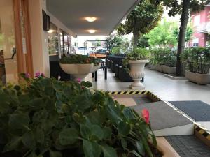 Сад в Hotel Glenn