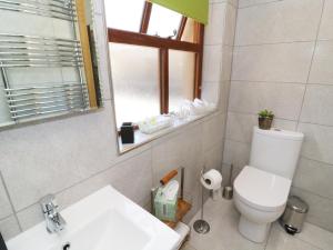 een badkamer met een toilet, een wastafel en een spiegel bij Sunnybrook Cottage in Clitheroe