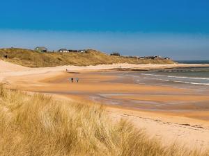 Naturlandskabet i nærheden af lejligheden + 11 billeder