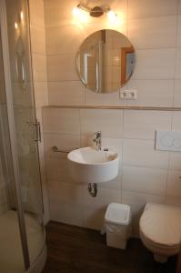 a bathroom with a sink and a toilet and a mirror at Weingut Klein-Götz in Bruttig-Fankel