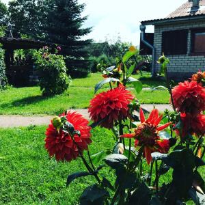 Jardín al aire libre en Usadba 4 Seasons