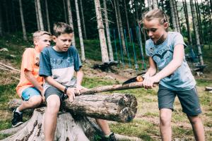 twee jongens en een meisje op een boomstam bij Kinderhotel Stegerhof in Donnersbachwald