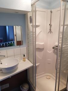 y baño con lavabo y ducha. en Hotel des Voyageurs, en Mayenne